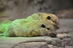 Zoo Rostock
