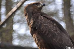 Zoo Rostock