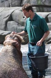 Tierpark Hagenbeck