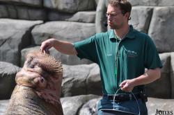 Tierpark Hagenbeck