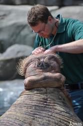 Tierpark Hagenbeck