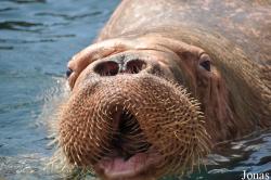 Tierpark Hagenbeck