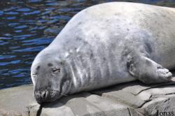 Tierpark Hagenbeck