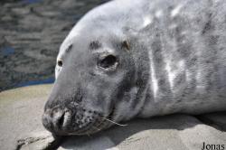 Tierpark Hagenbeck