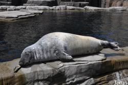 Tierpark Hagenbeck