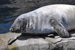 Tierpark Hagenbeck
