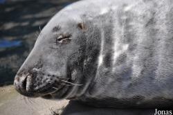 Tierpark Hagenbeck