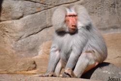 Tierpark Hagenbeck