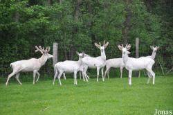 Wildpark Eekholt