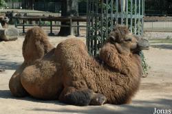 Krefelder Zoo