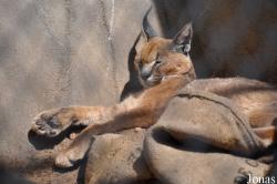 San Diego Zoo