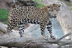 San Diego Zoo