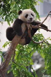 San Diego Zoo
