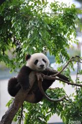 San Diego Zoo