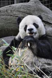 San Diego Zoo