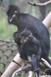 San Diego Zoo
