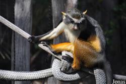 San Diego Zoo