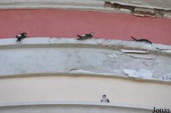 Kerkyra, Corfou