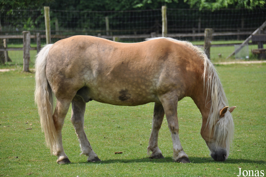 Tierpark Weeze