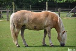 Tierpark Weeze