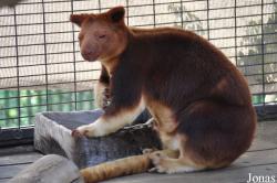San Diego Zoo