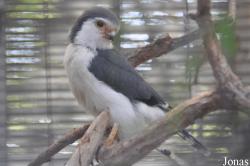San Diego Zoo