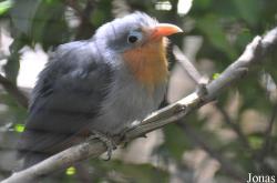San Diego Zoo