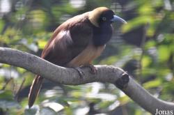 San Diego Zoo
