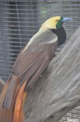 San Diego Zoo