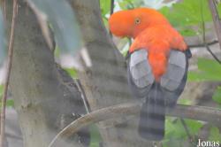 San Diego Zoo