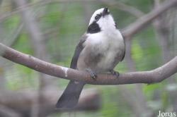 San Diego Zoo