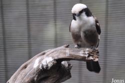 San Diego Zoo