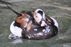 San Diego Zoo