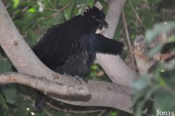 San Diego Zoo