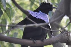 San Diego Zoo