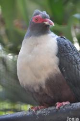 San Diego Zoo