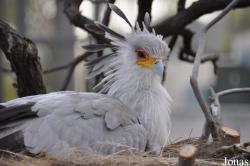 San Diego Zoo