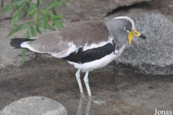 San Diego Zoo