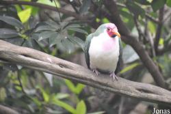San Diego Zoo
