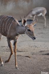 San Diego Zoo