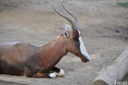 San Diego Zoo
