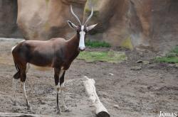 San Diego Zoo