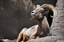 San Diego Zoo