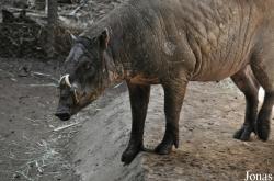 San Diego Zoo