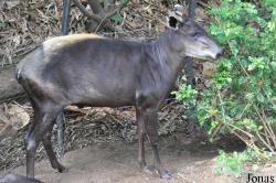 San Diego Zoo