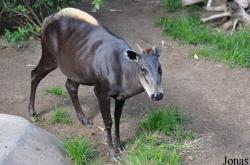 San Diego Zoo