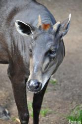 San Diego Zoo