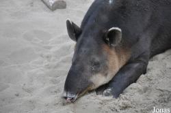 San Diego Zoo