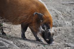 San Diego Zoo