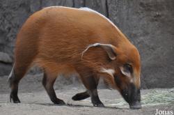San Diego Zoo